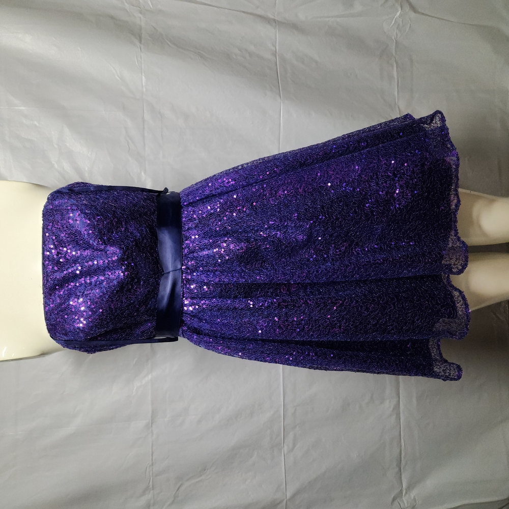 Purple Sequin Strapless Dress